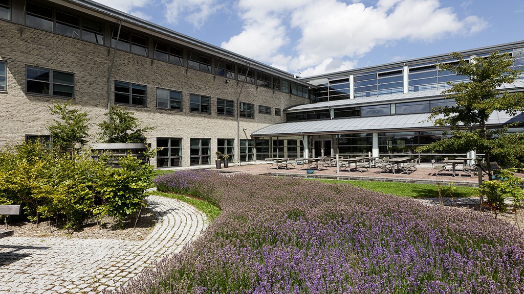Lyst og åbent kontor med reception og kantine